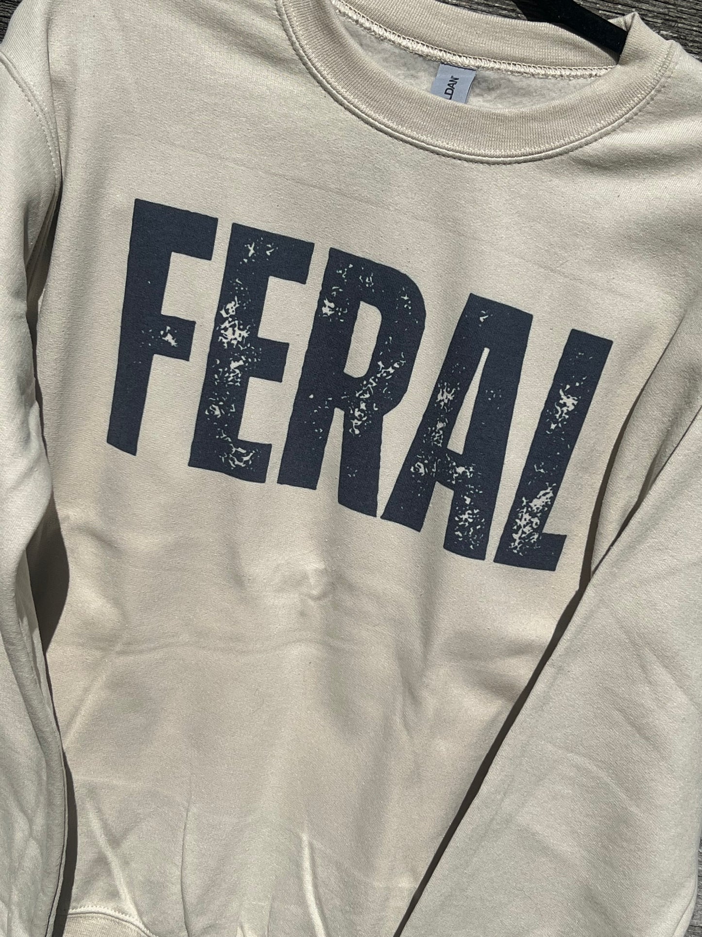 Feral Crew in Sand