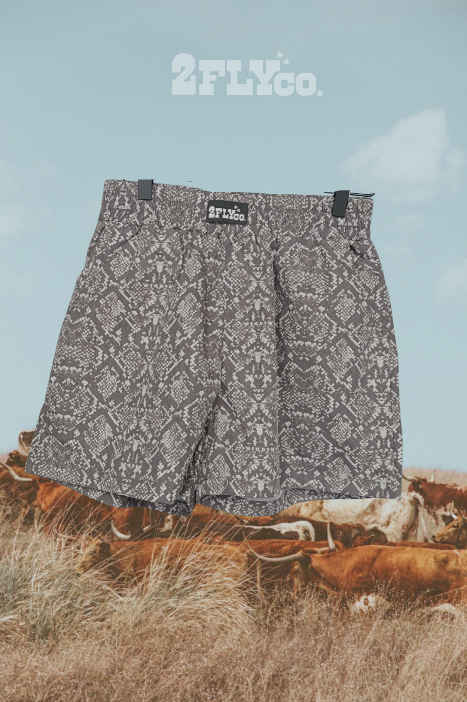 SssSADDLE UP BOXERS