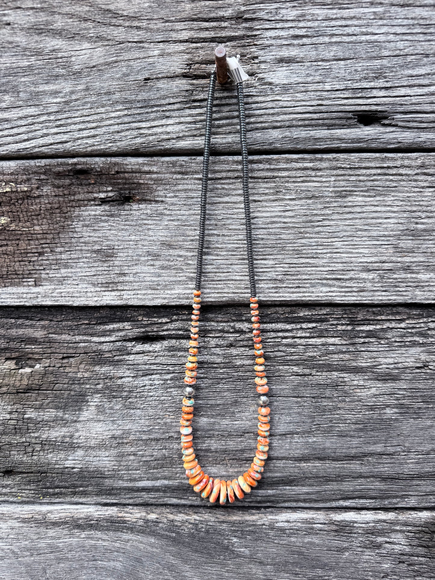 Desert Mojave Graduated Disk and Sterling Pearl Necklace