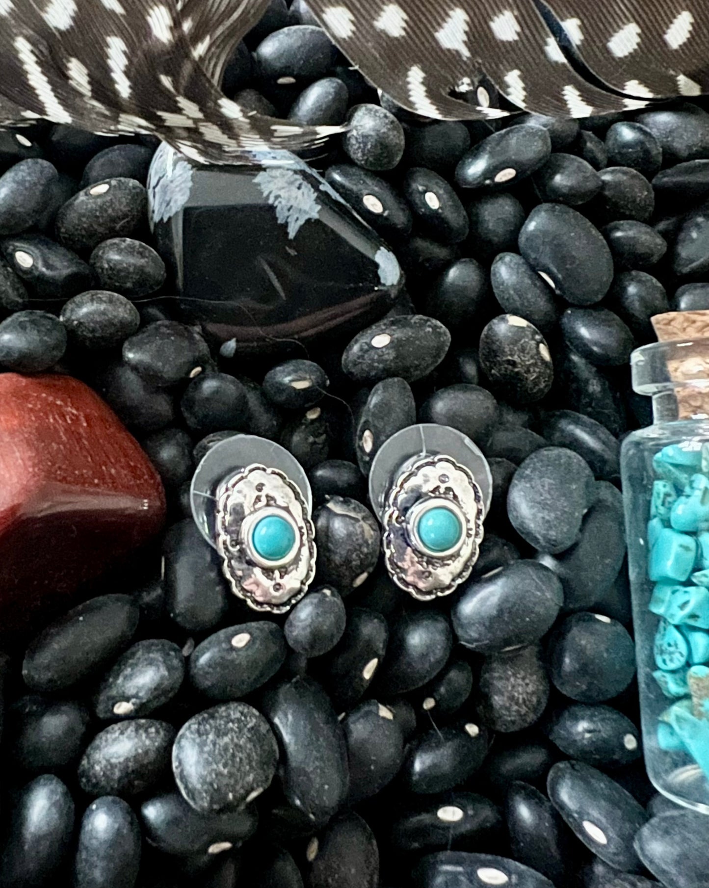 Silver and Turquoise Earrings