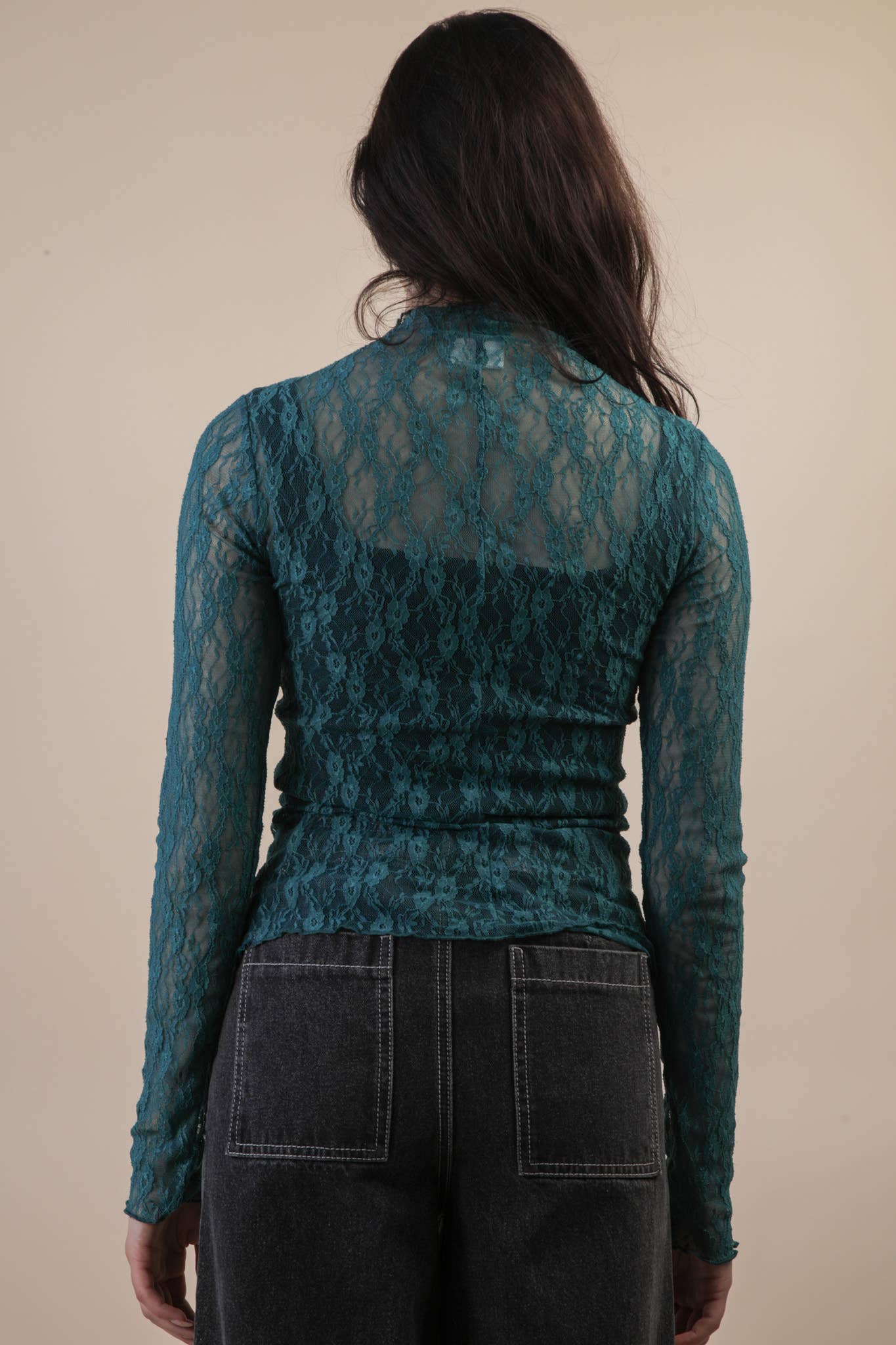 High Neck Fitted Sheer Mesh Lace Knit Top